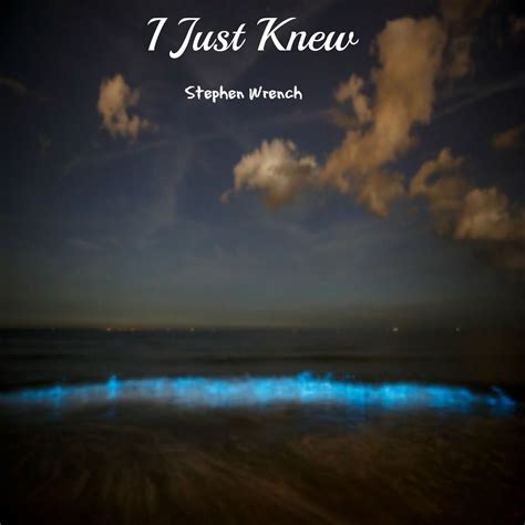 I Just Knew Mp3 Stephen Wrench Music