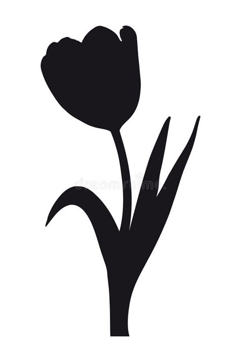Flor De Tulipán Con Tres Hojas Contornos Negros Ilustración Del