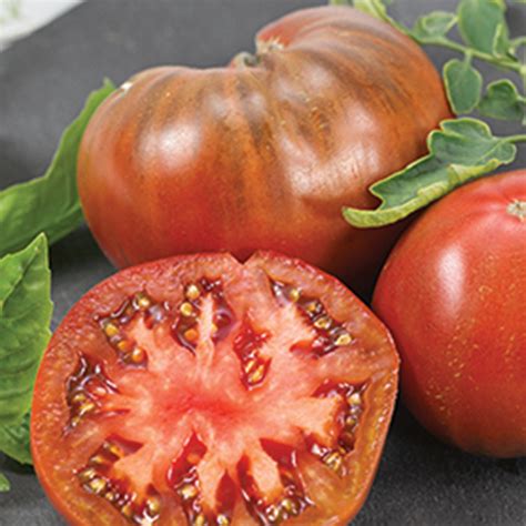 Chefs Choice Purple Hybrid Tomato Hybrid Tomato Seeds Totally Tomatoes