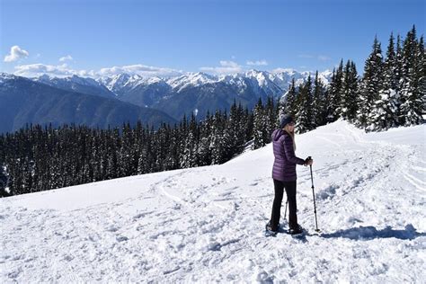 Hurricane Ridge Guided Snowshoe Tour In Olympic National Park
