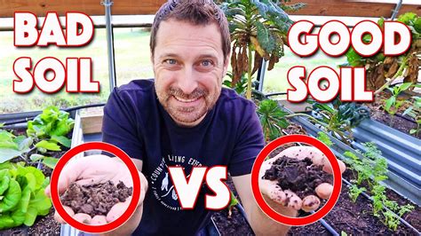 Good Soil Vs Bad Soil The Key Differences Youtube