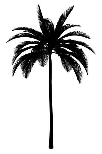 Svg Palm Tree Trees Free Svg Image And Icon Svg Silh