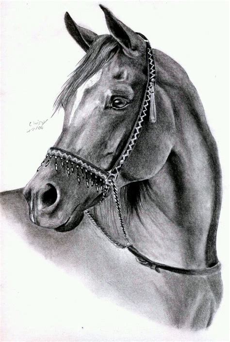Aprender Sobre Imagem Desenhos De Cavalos Realistas Br Thptnganamst Edu Vn