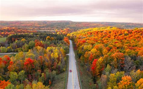 Best Ontario Road Trips To See Epic Fall Colours