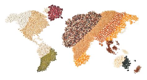 Igc Lifts Forecast For Global Grains Production 2018 10 01 World Grain