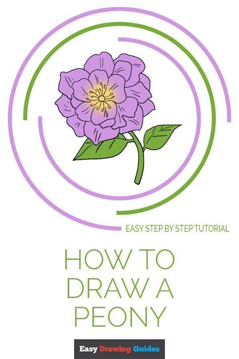 Learn How To Draw Peony Easy Step By Step Drawing Tutorial For Kids