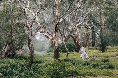 Why The Lost Daughters Of Picnic At Hanging Rock Still Haunt Us Pursuit By The University Of