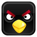 Bird Icon Angry Birds Icons Enojado Icono