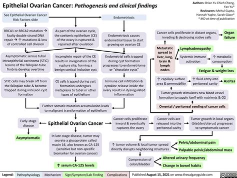 Epithelial Ovarian Cancer Pathogenesis And Clinical Findings Calgary