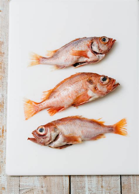 Edible Basics Red Fish Blue Fish Flat Fish Whole Fish — Edible Boston