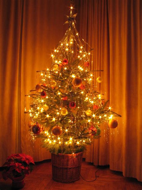 Christmas Tree 1 Free Stock Photo Freeimages