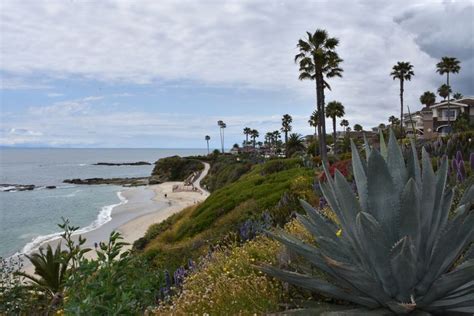 Laguna Beach Treasure Island Park Island Park Laguna Beach Beach