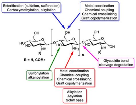 General Characteristics Of Chitosan Encyclopedia Mdpi