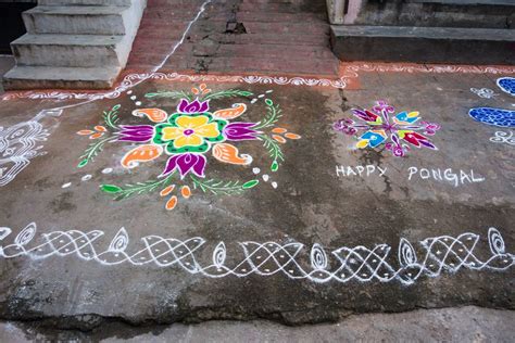 Pongal pot kolam with dots. Pongal Dates: When is Pongal in 2021, 2022 and 2023?