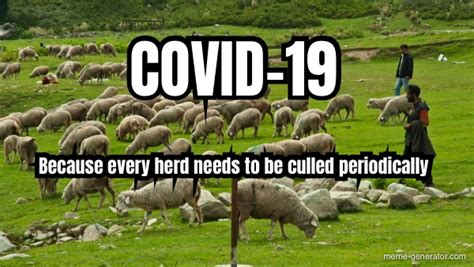 Covid 19 Because Every Herd Needs To Be Culled Periodically Meme