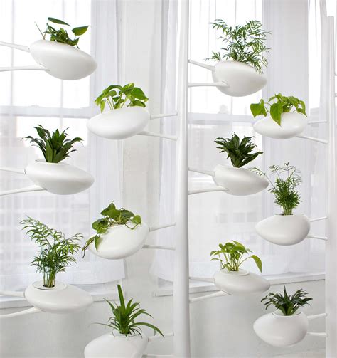 Modern Hydroponic Systems For The Home And Garden