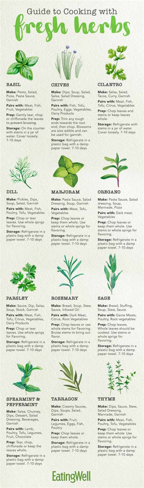 Guide To Cooking With Fresh Herbs