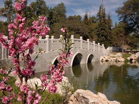 Hidden Gems in Pasadena | Discover Los Angeles