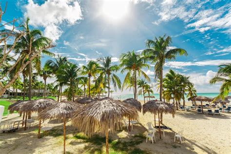 Inviting View From Tropical Garden On Cuban Varadero Beach Tranquil