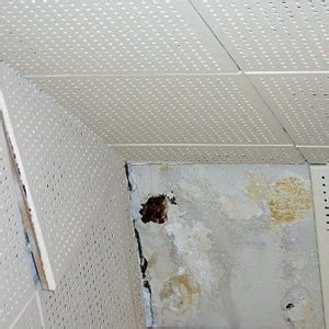 Hi all, we have decided to renovate one of our rooms 1930's house. Buying a House with Asbestos Ceilings? What you need to know