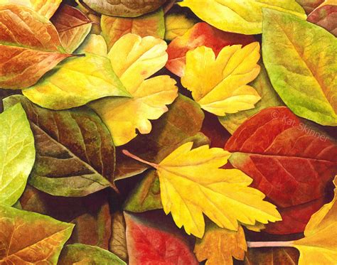 How I Painted The Autumn Leaves Watercolor Painting Kat Skinner