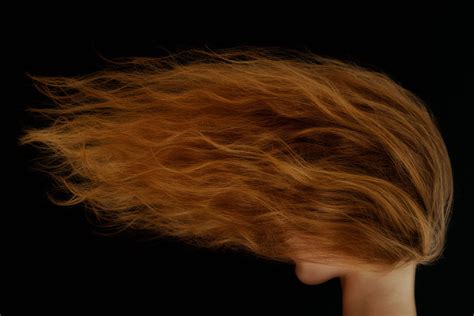 Redheads Aren’t Going Extinct Here’s Why