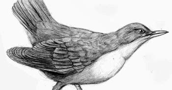 We did not find results for: Membuat | Melukis | Gambar Sketsa Wajah Anda: TEKNIK ...