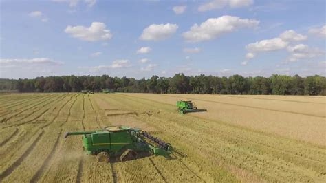 Mississippi Delta Rice Harvesting Youtube