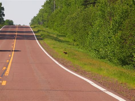 A Drive Down Minnesotas Loneliest Road Will Take You Miles And Miles