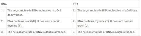 Dna is the chemical basis of hereditary whereas rna is not responsible. Write the main structural Difference between DNA and RNA ...