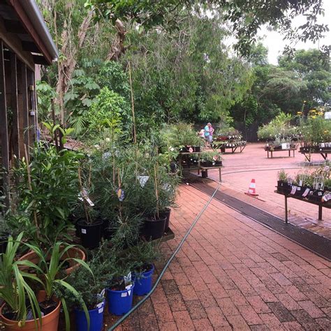 Fairhill Native Botanic Gardens And Native Plant Nursery Ninderry All