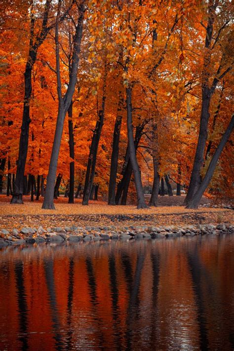 October By Sergey Ivanov 500px Autumn Scenes Autumn Landscape