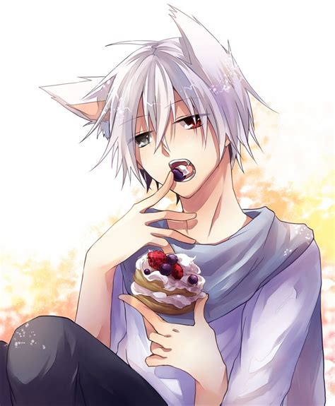 Check out our anime white wolf selection for the very best in unique or custom, handmade pieces from our shops. Image result for anime eating cake | Anime wolf, Cabelo ...