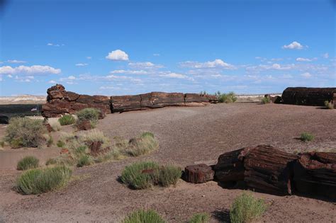 Les Voyages De Durandale Petrified Forest Painted Desert New Mexico