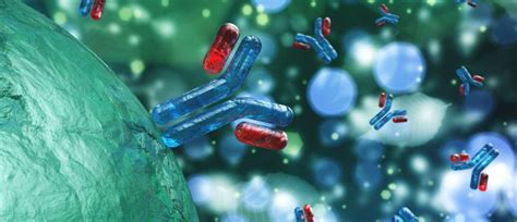 Autoantibody Concentration And Activity Quantified By New Tool