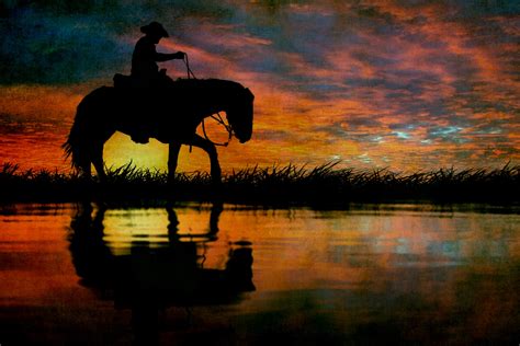 Horse Cowboy Silhouette Sunset Free Stock Photo Public Domain Pictures