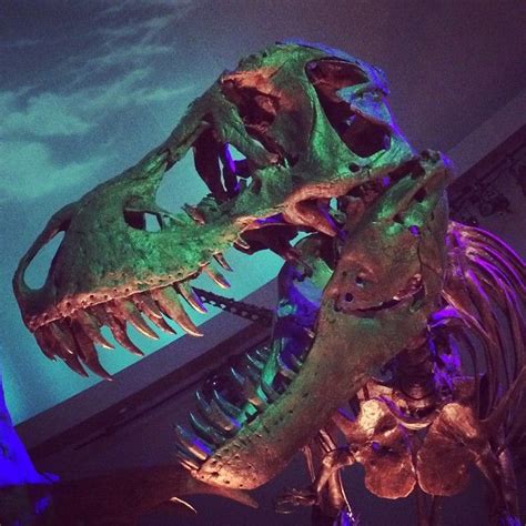 Dinosphere Childrens Museum Exhibition Indianapolis