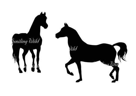 Arabian Horse Silhouette The Best Free Arabian Silhouette Images