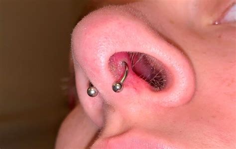 Septum Piercing Infectie Oorzaken En Behandeling Tattoo Masters