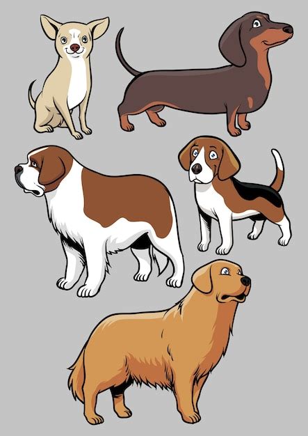 Premium Vector Dogs Vector Collection