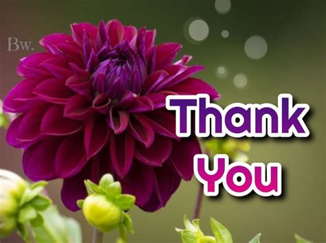 A Purple Flower With The Words Thank You