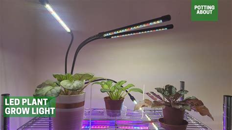 Led Plant Grow Light Youtube