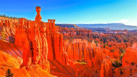 Beste Bryce Canyon Nasjonalpark Ørkensafarier 2022 Gratis Avbestilling Getyourguide