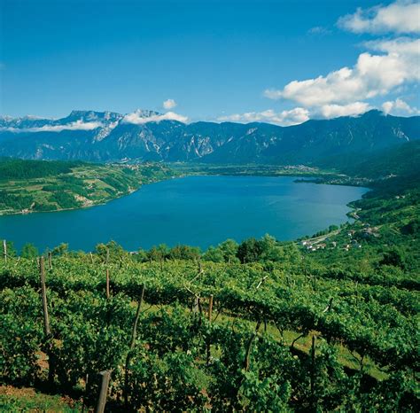 Lago Di Caldonazzo Trentino Film Commission