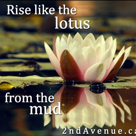 Lotus In The Mud 2nd Avenue