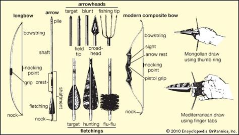 Types Of Bows Archery Arrowhead Bows And Arrows Kids Encyclopedia