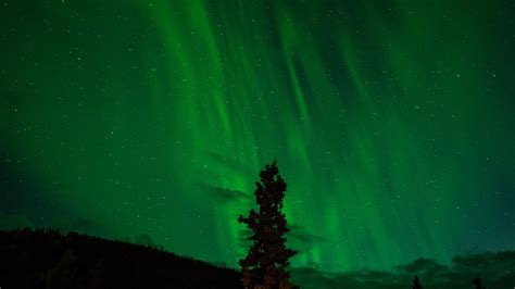 Free Images Star Atmosphere Night Sky Northern Light Aurora