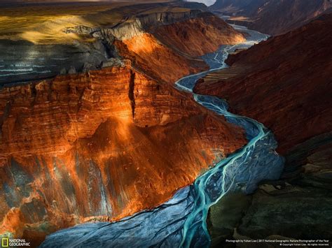 National Geographics Nature Photographer Of The Year Fstoppers