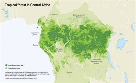 Fascinating Facts About The Congo Rainforest Fun Facts About The