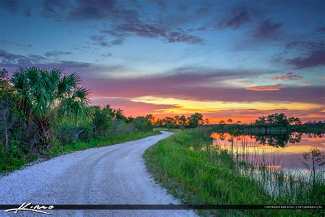 Martin County Florida Dirt Road Sunset Royal Stock Photo